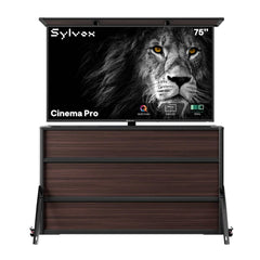 75" Cabinet + Cinema Pro 75"(Full Sun)