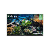 43" Outdoor TV(Google TV) - 2026 Frameless Series