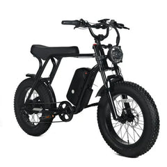 Electric Mountain Bike for Adults | 20 x 4.0 Fat Tires, 1000W Motor, 48V 20Ah Removable Battery, Max Speed 45MPH, Shi Mano 7-Speed for Off-Road