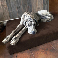 Fashion oversized dog bed (XL size, dark gray) - Thickness 7 inches, soft and comfortable, ergonomic cushion - Oversized dog bed - Durable and washable microfiber cover