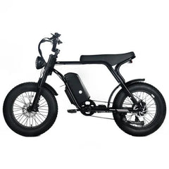 Electric Mountain Bike for Adults | 20 x 4.0 Fat Tires, 1000W Motor, 48V 20Ah Removable Battery, Max Speed 45MPH, Shi Mano 7-Speed for Off-Road