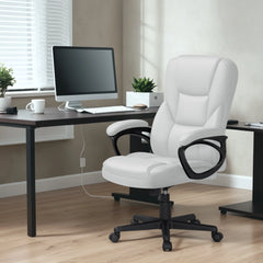 High Back Executive Office Chair, Ergonomic Computer Desk Chair for Home and Office