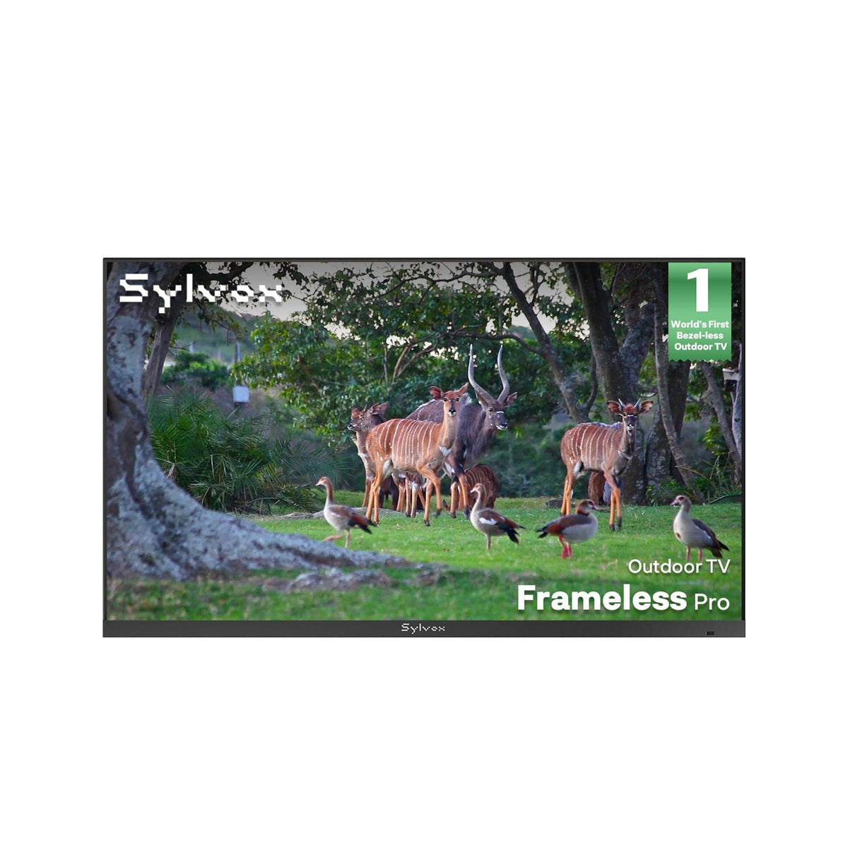 65" Outdoor TV(Google TV) - 2026 Frameless Pro Series
