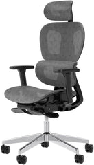 Ergonomic Mesh Office Chair with 3D Adjustable Armrest,Plastic Frame High Back Desk Computer Chair Ergo3d Ergonomic Office Chair with Wheels for Home & Office Black