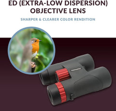 Binoculars (8x42mm) - Suitable for adults, hiking and outdoor activities, as well as for advanced bird watching. Professional type binoculars.