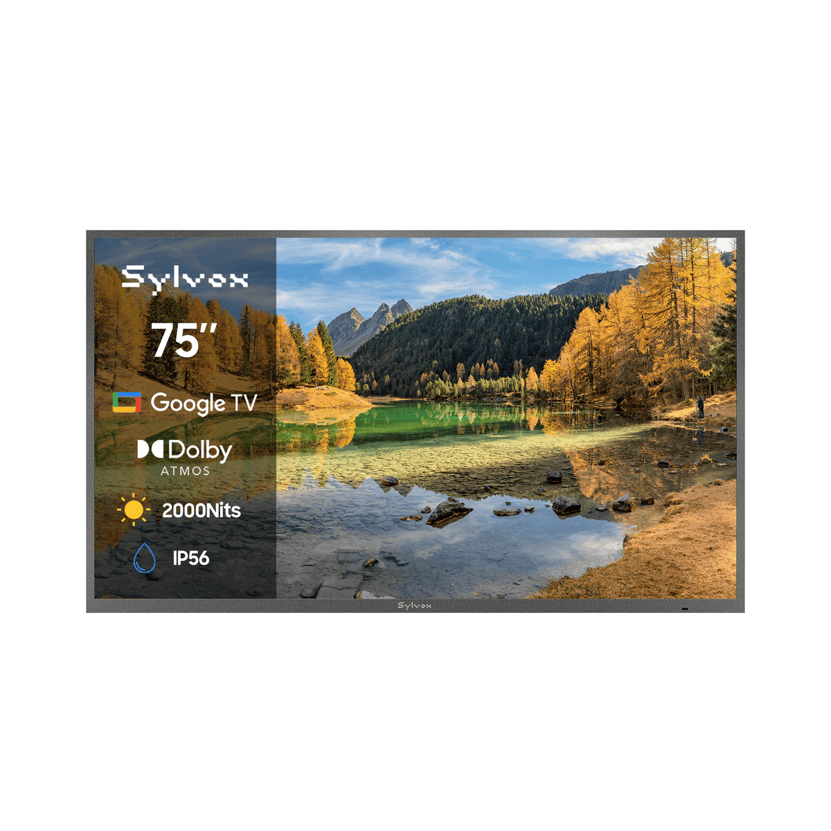 75" 2000Nit Google Outdoor TV -2026 Pool Pro 3.0 Series