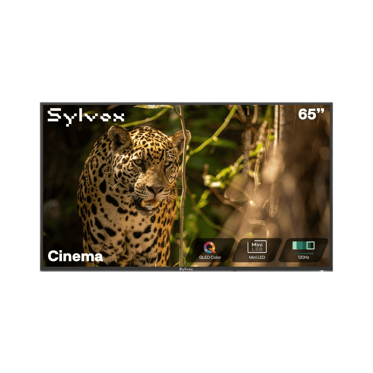 Sylvox Cinema 65" Helio QLED Outdoor TV-2026 Model (120HZ & 2000Nits)