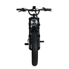 Electric Mountain Bike for Adults | 20 x 4.0 Fat Tires, 1000W Motor, 48V 20Ah Removable Battery, Max Speed 45MPH, Shi Mano 7-Speed for Off-Road