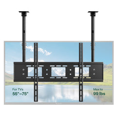 Outdoor TV Dual-Pole Ceiling Mount